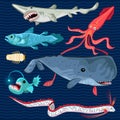 Fish Of The Deep Blue Sea Collection Set Royalty Free Stock Photo