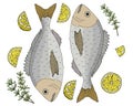Fish dish, dorado with lemon and thyme hand drawn, isolated. Beautiful template for restaurant or cafe menu, card, promo,
