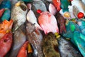 Fish on dislay at fishmarket Royalty Free Stock Photo