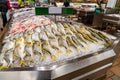 Fish displayed on ice at Supermarket seafood aisle