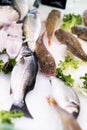 Fish displayed on the market