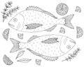 Fish dorado with lemon and thyme hand drawn, isolated. Fish dish, coloring page. Vector illustration