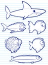 Fish Drawings