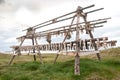 Fish drying on Flatey Island, Iceland Royalty Free Stock Photo