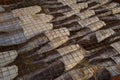 Fish drying in a market on an island off the Coast of Taiwan Royalty Free Stock Photo