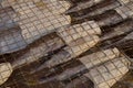 Fish drying in a market on an island off the Coast of Taiwan Royalty Free Stock Photo