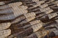 Fish drying in a market on an island off the Coast of Taiwan Royalty Free Stock Photo