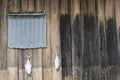Fish drying outside rustic fisherman house