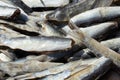 Fish drying in the sun for cooking Royalty Free Stock Photo