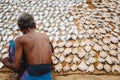 Fish drying in the sun