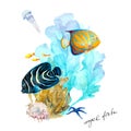 Fish Emperor angelfish Pomacanthus imperator and blue-ringed angelfish Pomacanthus Annularis, underwater landscape, hand drawn Royalty Free Stock Photo