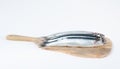 Fish, Engraulis encrasicolus, on white background.