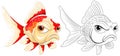 A fish with expressive grumpy faces Royalty Free Stock Photo