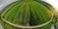 Fish eye Aerial shot from a drone of young green wheat in Spring Royalty Free Stock Photo