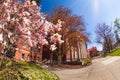 Fish-eye view of University Way street, Ellensburg