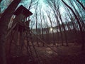 Fish eyeshot of a wooden lookout tower in the forest Royalty Free Stock Photo