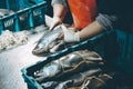 Fish factory process