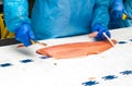 Fish factory salmon production