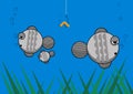 Fish family illustration