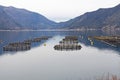 Fish farm in the Bay of Montenegro Royalty Free Stock Photo