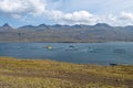 Fish farm in Berufjordur fjord in eastern Iceland from Ring Road on sunny day.