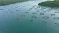 Fish farm with cages for fish and shrimp in the Philippines, Luzon. Aerial view of fish ponds for bangus, milkfish. Royalty Free Stock Photo