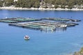 Fish farm with cages and small boat Royalty Free Stock Photo