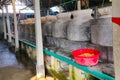 fish farm inside. containers with water and fish Royalty Free Stock Photo