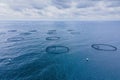 Fish farm with lots of fish enclosures in sea. Fish hatchery Royalty Free Stock Photo