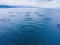 Fish farm with lots of fish enclosures in sea Royalty Free Stock Photo