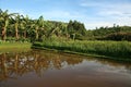 Fish Farm Pond in Uganda, Africa