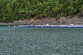 Fish farm in the Salish Sea, floating pens close to a rocky, forest covered coastline Royalty Free Stock Photo