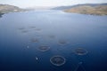 Fish farm salmon marine sea nets farming at Loch Fyne Scotland UK Royalty Free Stock Photo