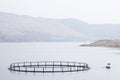 Fish farm salmon nets cages floats in sea water coast environment organic farming at Loch Melfort Arygll Scotland UK Royalty Free Stock Photo