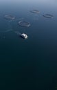 Fish farm salmon round nets in natural environment Loch Fyne Arygll and Bute Scotland Royalty Free Stock Photo