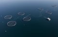 Fish farm salmon round nets in natural environment Loch Fyne Arygll and Bute Scotland Royalty Free Stock Photo