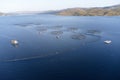 Fish farm salmon sea nets farming at sea Loch Tay Scotland Royalty Free Stock Photo