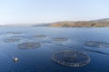 Fish farm salmon sea nets farming at sea Loch Tay Scotland Royalty Free Stock Photo