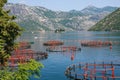 Fish farm. Sunny Mediterranean landscape with fish farm in foreground and two small islands in distance. Montenegro, Kotor Bay Royalty Free Stock Photo