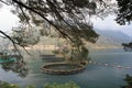 Fish farm through tree leaves in the Bay of Kotor. Royalty Free Stock Photo