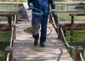 Fish farm worker goes on wooden bridges and carries a hoop-net w