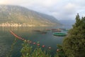 Fish farming in the Bay of Kotor. Royalty Free Stock Photo