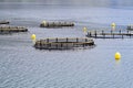 Fish farming nets