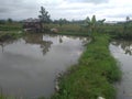 the fish farming complex and the pond are neatly lined up