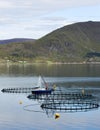 Fish farming Royalty Free Stock Photo