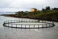 Fish farming in Norway Royalty Free Stock Photo