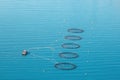 Fish farming in Norway with floating cages and ship aerial view