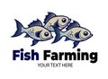 Fish farming or pisciculture creative logo. Three fish emblem. Growing fish element