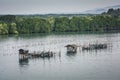 Fish farms, Fish cages at The estuary Laem Sing Royalty Free Stock Photo