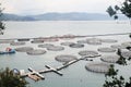 Fish farms in Ligurian riviera, Italy Royalty Free Stock Photo